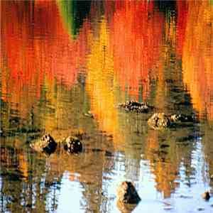 Sharks' Teeth - Reflections In The Lagoon