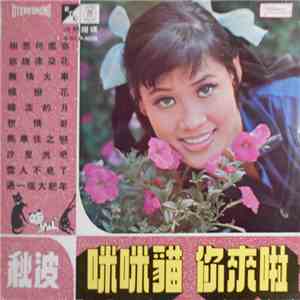 秋波 - 咪咪貓 + 你來啦