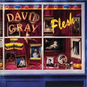 David Gray - Flesh