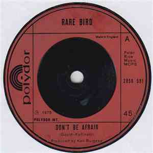 Rare Bird - Don't Be Afraid