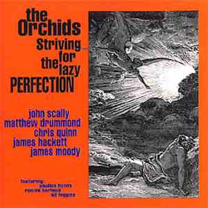 The Orchids  - Striving For The Lazy Perfection