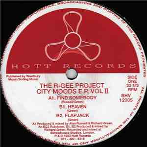 The R-Gee Project - City Moods E.P. Vol II