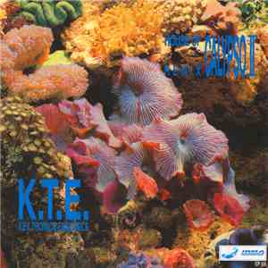 K.T.E. - House Of Calypso II (Remix)