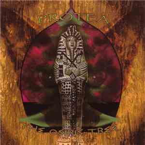 Protea - The Osiris Tree