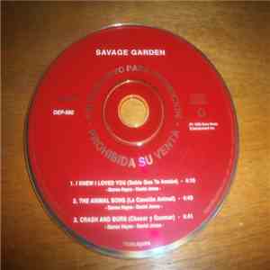 Savage Garden - I Knew I Loved You