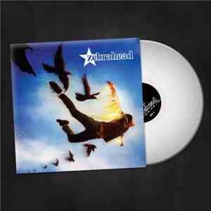 Zebrahead - Phoenix