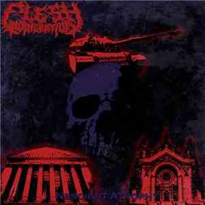 Flesh Incineration - Nescient Atrophy
