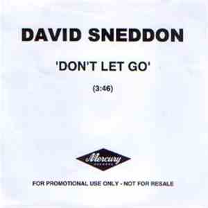 David Sneddon - Don't Let Go