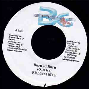 Elephant Man - Burn Fi Burn