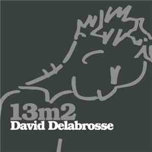 David Delabrosse - 13m²