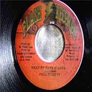 Paul Elliott - What We Need Is Love