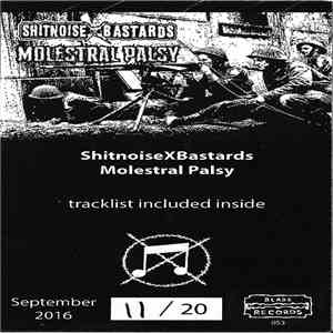 Shitnoise Bastards, Molestral Palsy - split