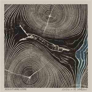 Needtobreathe - Rivers In The Wasteland
