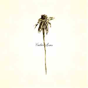 Patrick Watson  - Wooden Arms