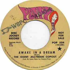 The Giant Jellybean Copout - Awake In A Dream
