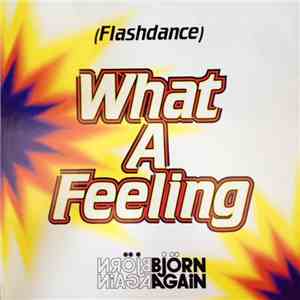 Bjorn Again - Flashdance...What A Feeling