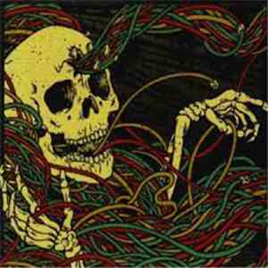 Rehasher - High Speed Access To My Brain
