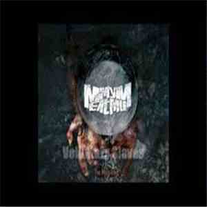 Meat My Mum - Cold Hearted