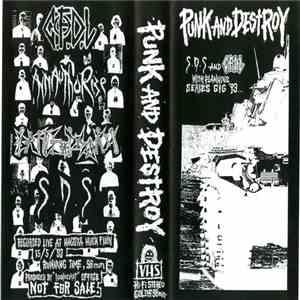 Various - Punk And Destroy