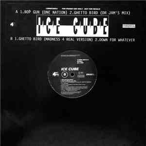 Ice Cube - Bop Gun (One Nation)