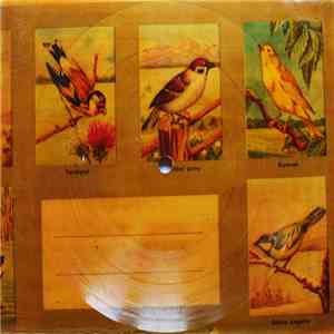 T. Jones / E. Humperdinck - The Young New Mexican Puppeteer / Too Beautiful To Last