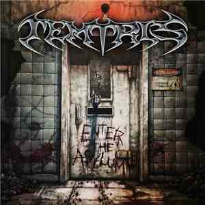 Temtris - Enter The Asylum