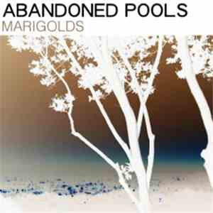 Abandoned Pools - Marigolds