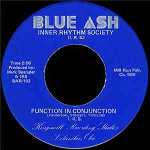 Inner Rhythm Society - Seeing You / Function In Conjunction