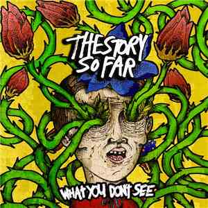 The Story So Far  - What You Don't See