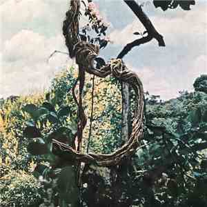 Celer + Forest Management - Landmarks