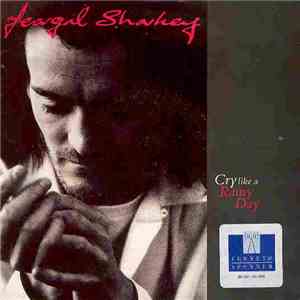 Feargal Sharkey - Cry Like A Rainy Day