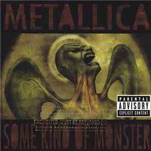 Metallica - Some Kind Of Monster