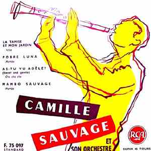 Camille Sauvage Et Son Orchestre - Untitled