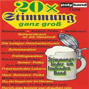 Unknown Artist - 20x Stimmung Ganz Groß