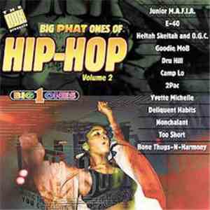 Various - Big Phat Ones Of Hip-Hop, Volume 2