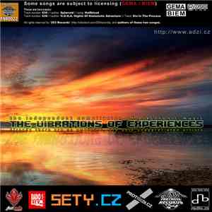 Various - The Vibrations Of Experiences