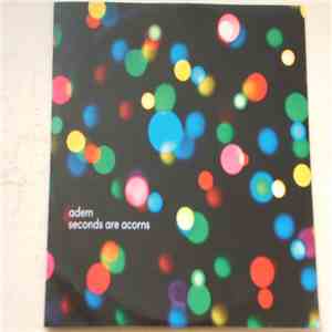 Adem  - Seconds Are Acorns
