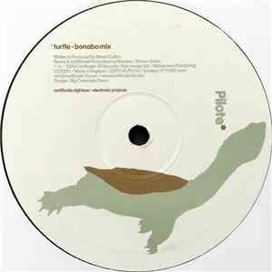 Pilote - Turtle / Micrphones
