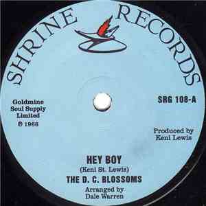 The D. C. Blossoms - Hey Boy