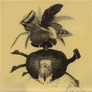Taku Hayashi - Other Voices