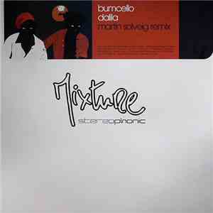 Bumcello - Dalila (Martin Solveig Remix)