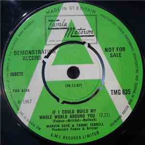 Marvin Gaye & Tammi Terrell - If I Could Build My Whole World Around You