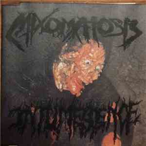 Mixomatosis / Intumescence - Live Split 2001