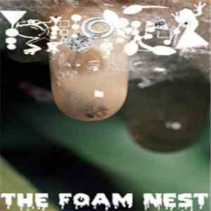 Phyllomedusa - The Foam Nest