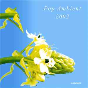 Various - Pop Ambient 2002