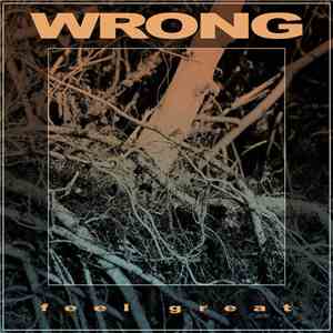 Wrong  - Feel Great