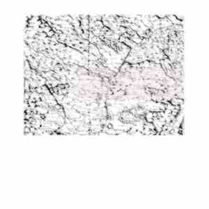Andrea Valle - Acta GeoGraphica (2001​-​2007)