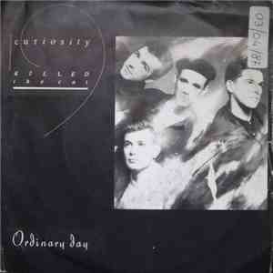 Curiosity Killed The Cat - Ordinary Day