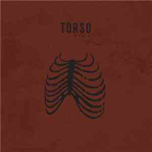 Torso  - Limbs
