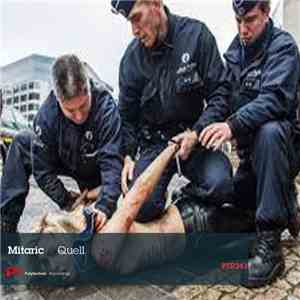 Mitaric - Quell